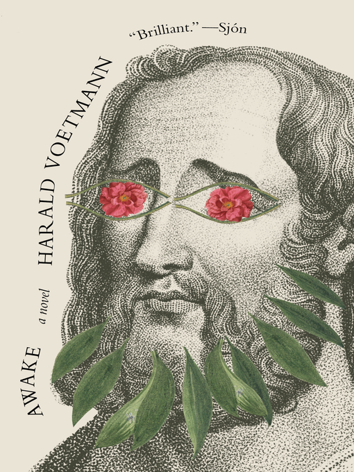 Title details for Awake by Harald Voetmann - Wait list